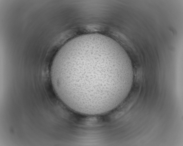 X0000113980418200910161627