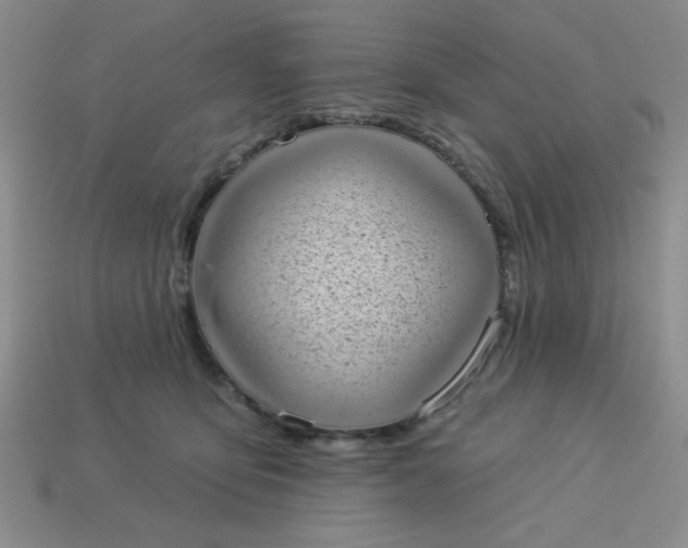 X0000113980419200910161627