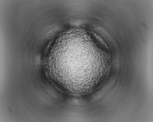 X0000113980420200910161627