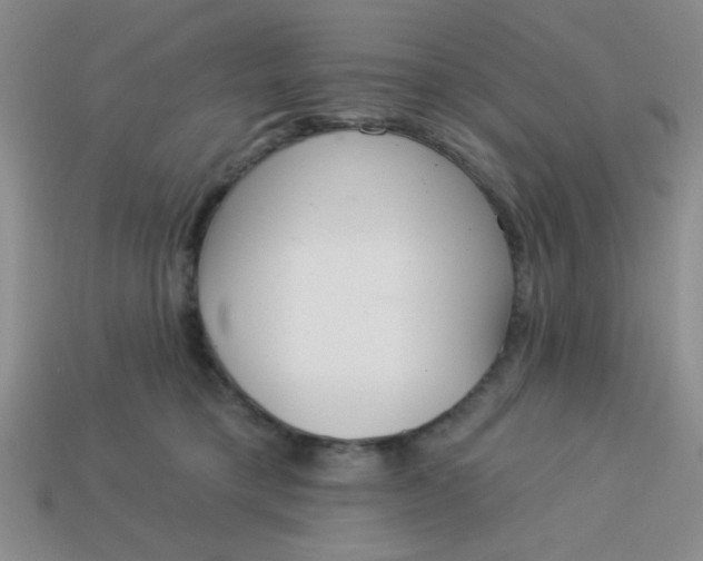 X0000113980421200910161627