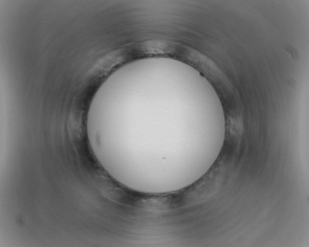 X0000113980422200910161627