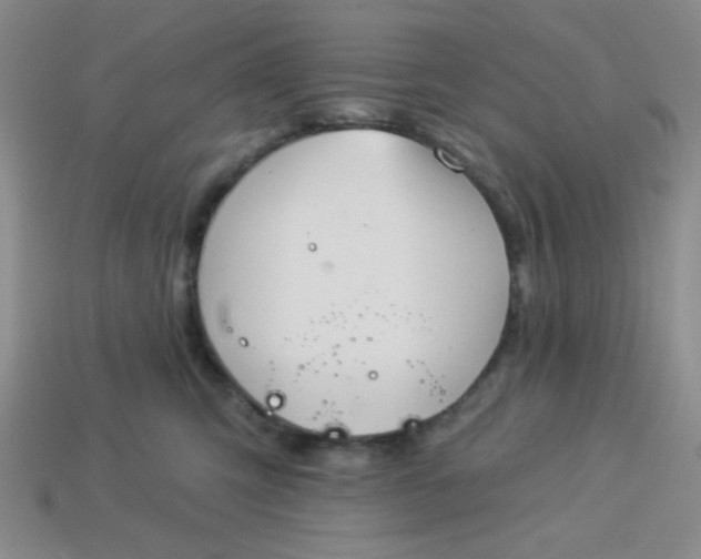 X0000113980423200910161627