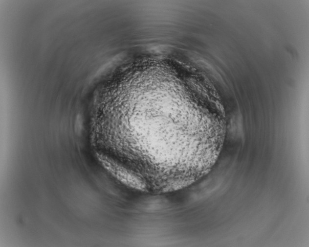 X0000113980424200910161627