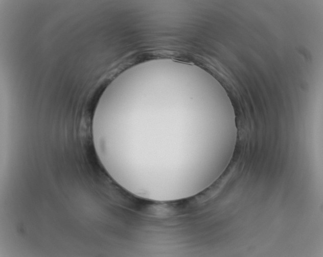 X0000113980425200910161627