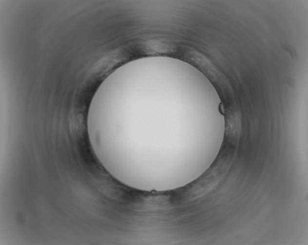 X0000113980426200910161627