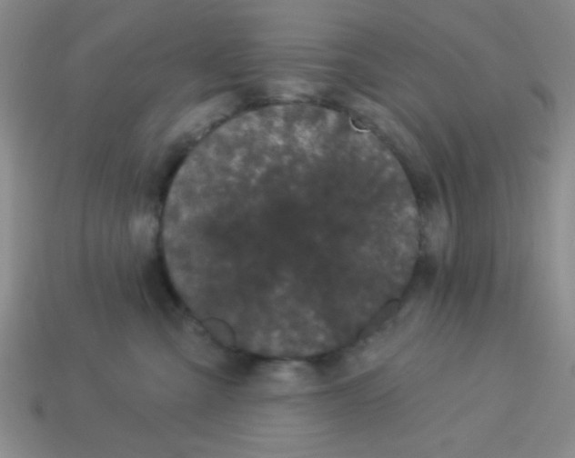 X0000113980427200910161627