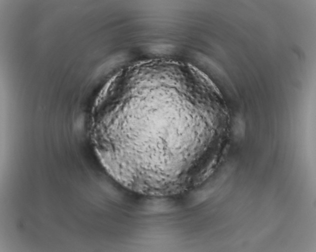 X0000113980428200910161627