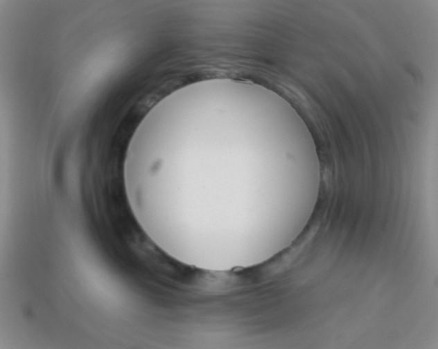 X0000113980429200910161627