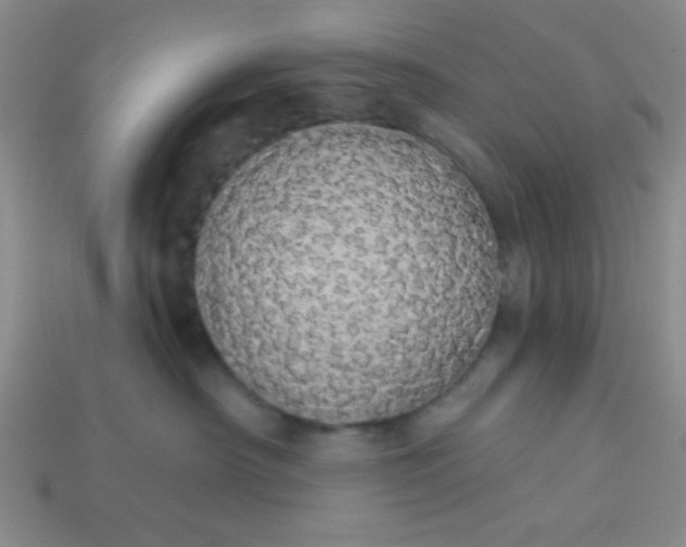 X0000113980430200910161627