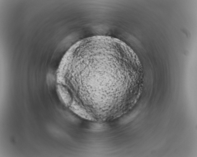 X0000113980432200910161627