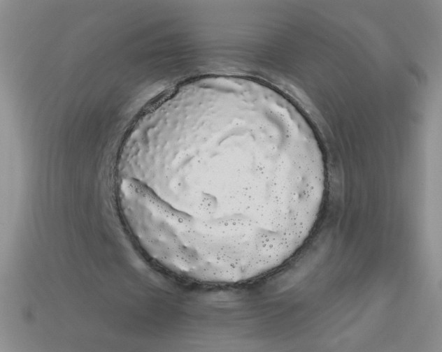 X0000113980433200910161626