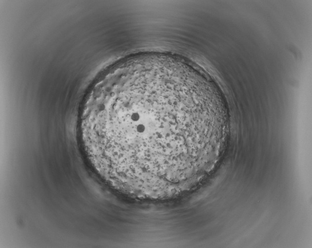 X0000113980434200910161626