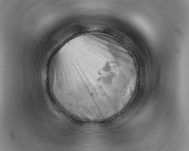 X0000113980435200910161626