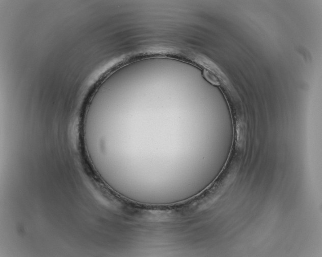 X0000113980436200910161626