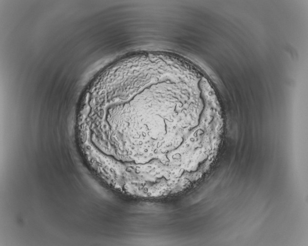 X0000113980437200910161626