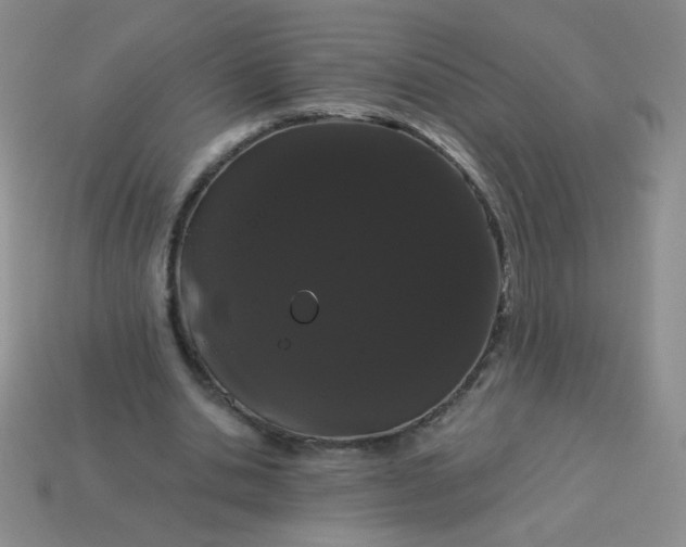 X0000113980438200910161626