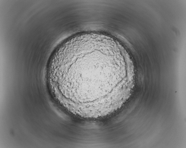 X0000113980439200910161626