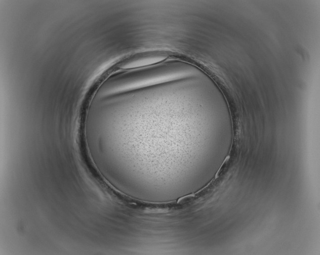 X0000113980440200910161626