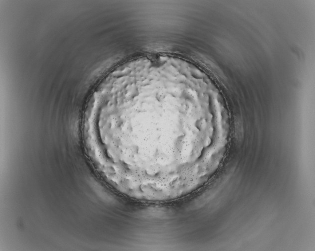 X0000113980441200910161626