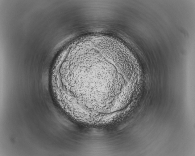 X0000113980442200910161626