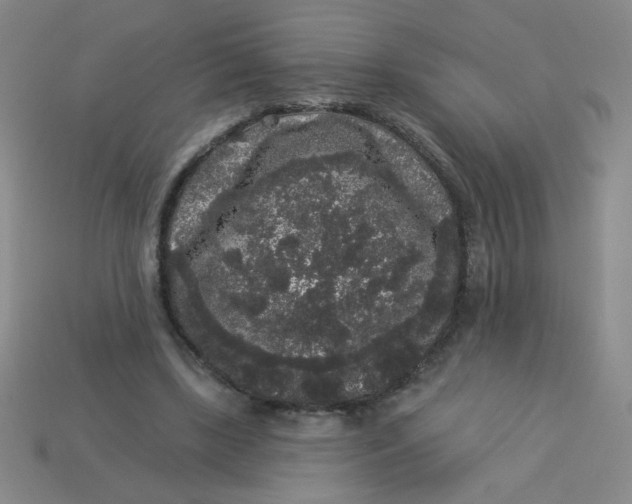 X0000113980443200910161626