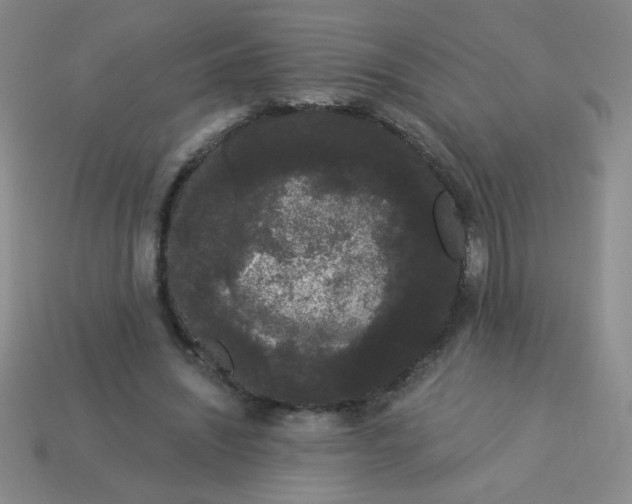 X0000113980444200910161626