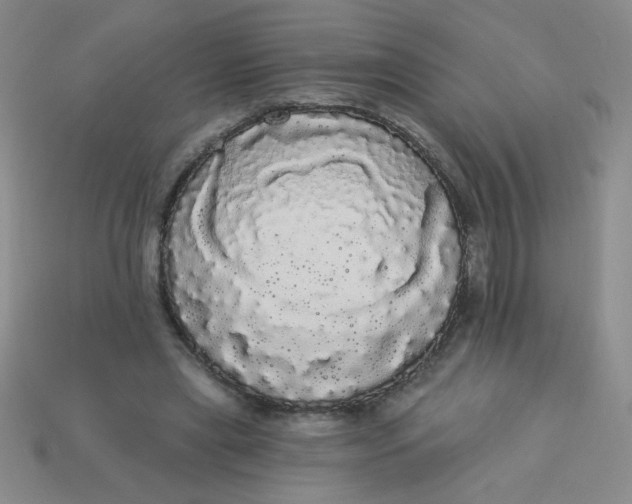 X0000113980445200910161626