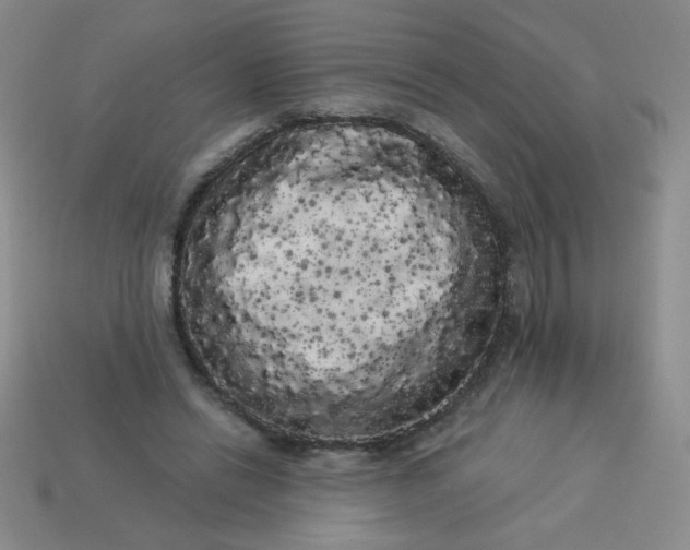 X0000113980446200910161626