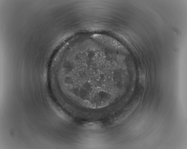 X0000113980447200910161626