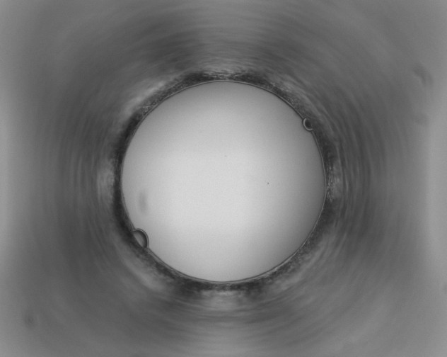 X0000113980448200910161626