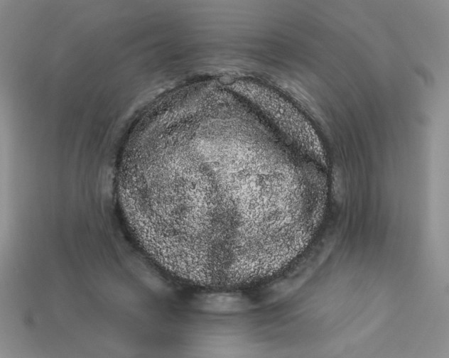 X0000113980449200910161626