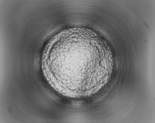 X0000113980450200910161626