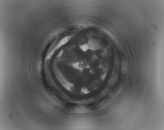 X0000113980451200910161626