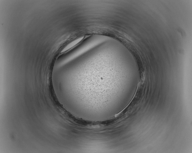 X0000113980452200910161626