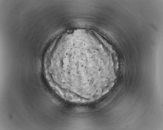 X0000113980453200910161626