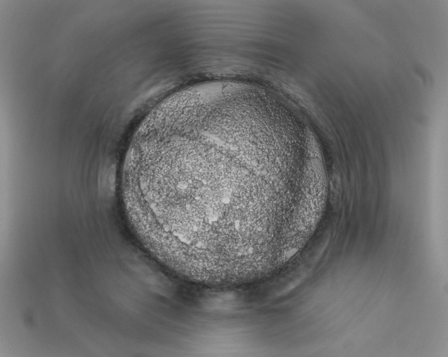 X0000113980454200910161626