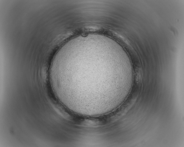 X0000113980455200910161626