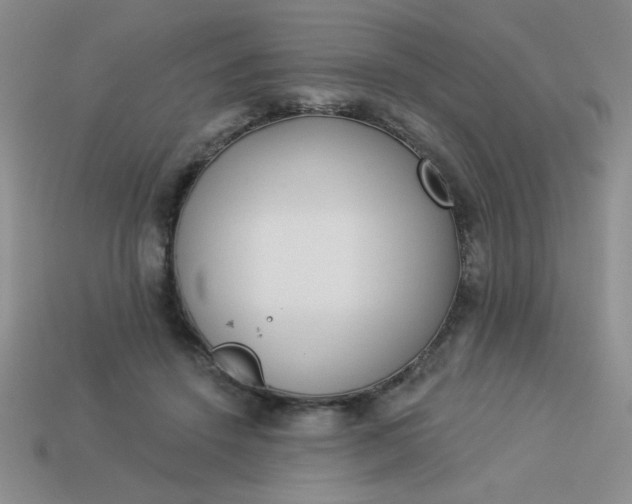 X0000113980456200910161626