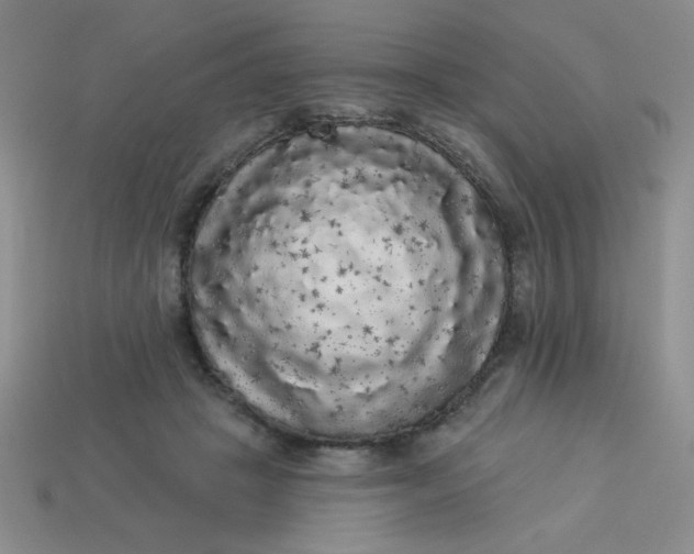 X0000113980457200910161626