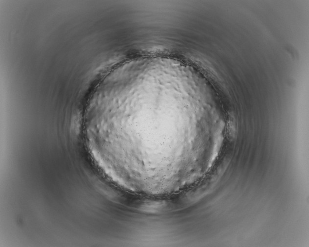 X0000113980458200910161626