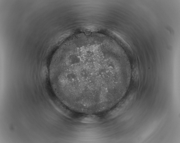 X0000113980459200910161626