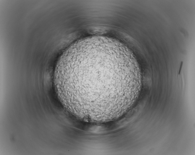 X0000113980460200910161626