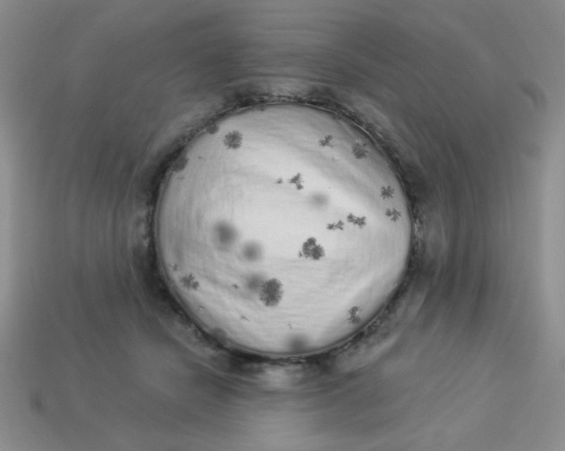 X0000113980462200910161626