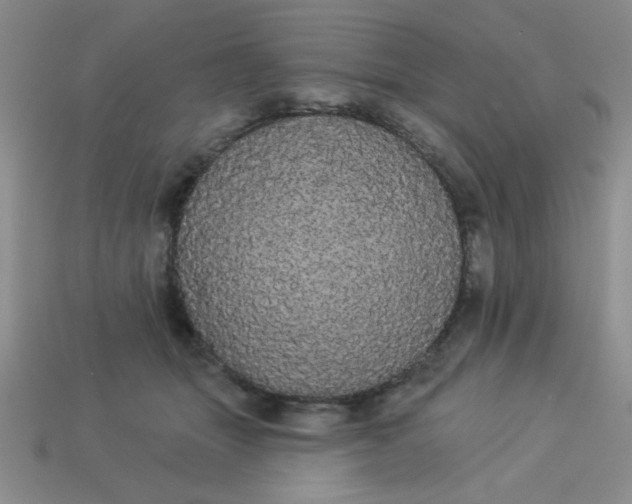 X0000113980463200910161626