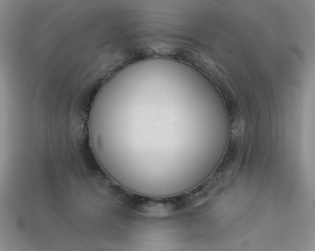 X0000113980464200910161626