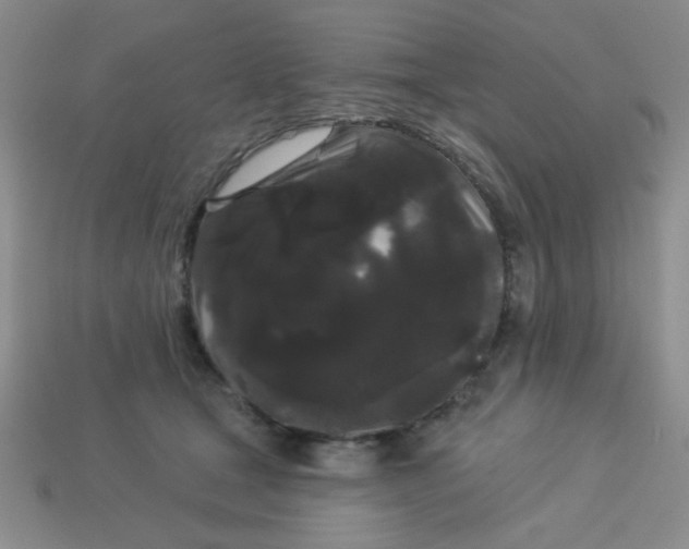 X0000113980465200910161626