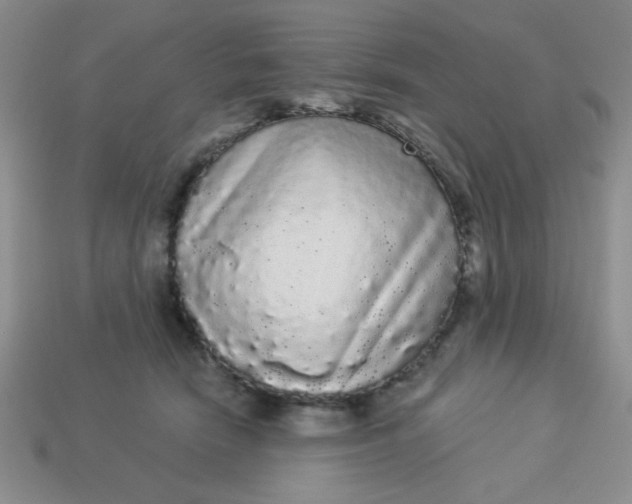 X0000113980466200910161626