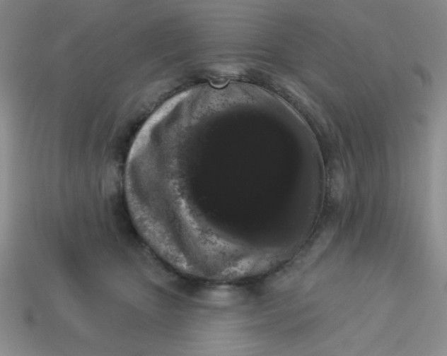 X0000113980467200910161626