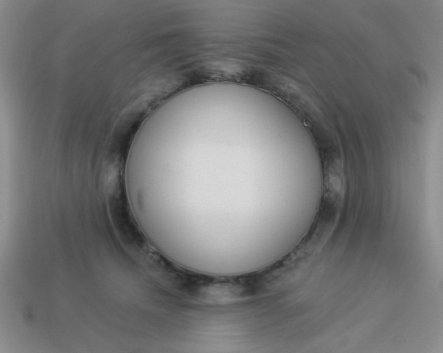 X0000113980468200910161626