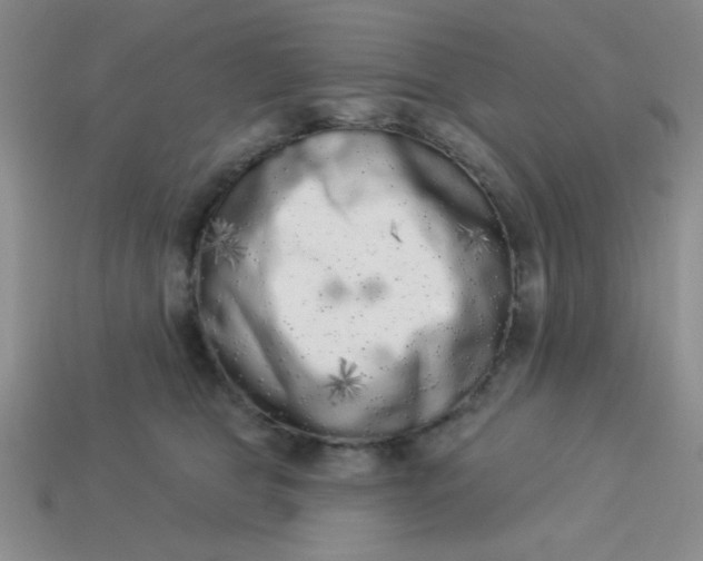 X0000113980469200910161626